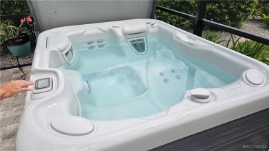 Imagine yourself in a beautiful relaxing Waterford Style Pool on Skyview At Terra Vista Golf and Country Club in Florida - for sale on GolfHomes.com, golf home, golf lot
