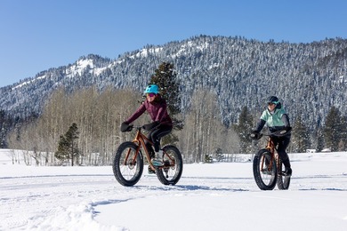 Nestled in the prestigious Tamarack Resort community, this on Osprey Meadows at Tamarack Resort in Idaho - for sale on GolfHomes.com, golf home, golf lot