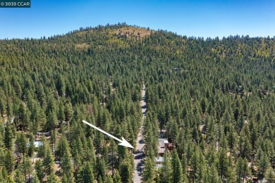 STOP! Your Tahoe dream home just hit the market   Nestled in the on Old Brockway Golf Club in California - for sale on GolfHomes.com, golf home, golf lot