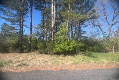 Owner financing available- 303 E Church St This vacant, corner on The Course At Turkey Mountain in Arkansas - for sale on GolfHomes.com, golf home, golf lot