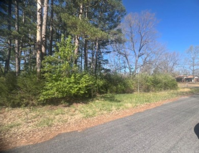 Owner financing available- 303 E Church St This vacant, corner on The Course At Turkey Mountain in Arkansas - for sale on GolfHomes.com, golf home, golf lot