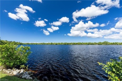 Imagine waking up to the gentle shimmer of morning light dancing on Hammock Bay in Florida - for sale on GolfHomes.com, golf home, golf lot
