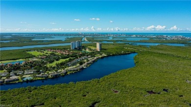 Imagine waking up to the gentle shimmer of morning light dancing on Hammock Bay in Florida - for sale on GolfHomes.com, golf home, golf lot