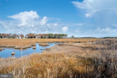 REDUCED 20K - Motivated Seller!  Welcome to Pot-Nets Creekside on Baywood Greens Golf Club in Delaware - for sale on GolfHomes.com, golf home, golf lot