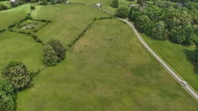 Nestled in the serene countryside of Burkesville, Kentucky, this on Dale Hollow Lake Golf Course in Kentucky - for sale on GolfHomes.com, golf home, golf lot