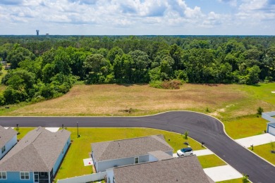 Discover an exceptional 1.69-acre tract on William Clark Blvd on Santee National Golf Course in South Carolina - for sale on GolfHomes.com, golf home, golf lot