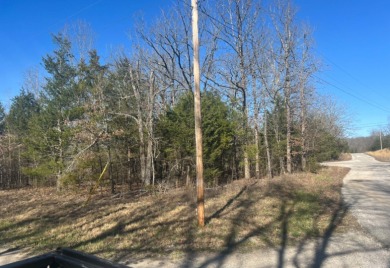 Owner financing is available- This corner, 160x130x235 lot is on  in Arkansas - for sale on GolfHomes.com, golf home, golf lot