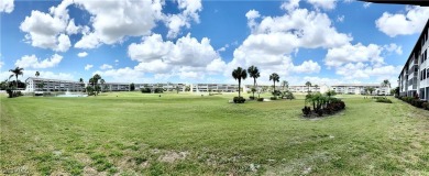 FURNISHED and TURNKEY! ABSOLUTELY BEAUTIFUL and UNIQUE BUNDLED on Golfview Golf and Racquet Club in Florida - for sale on GolfHomes.com, golf home, golf lot