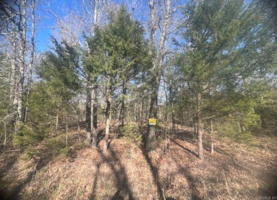 Owner financing is available-  This 150 x 90 lot is walking on  in Arkansas - for sale on GolfHomes.com, golf home, golf lot