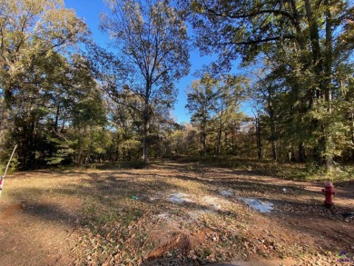89 acre lot located in the Southern Hills Golf Course community on Southern Hills Golf Club in Georgia - for sale on GolfHomes.com, golf home, golf lot