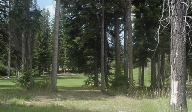 Overlooking Birch #1 Fairway.  $7315 in Water and Sewer hookups on McCall Municipal Golf Course in Idaho - for sale on GolfHomes.com, golf home, golf lot