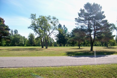 This impeccably cared for 3BR,2B home is move in ready. This on Lakes of the North Deer Run Golf Course in Michigan - for sale on GolfHomes.com, golf home, golf lot