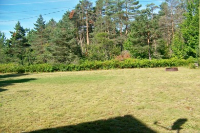 This impeccably cared for 3BR,2B home is move in ready. This on Lakes of the North Deer Run Golf Course in Michigan - for sale on GolfHomes.com, golf home, golf lot