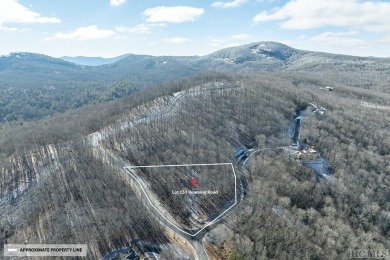 Situated in the desirable Highlands-Cashiers plateau region of on Natures Walk At Chinquapin in North Carolina - for sale on GolfHomes.com, golf home, golf lot
