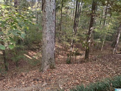 RARE OPPORTUNITY in Riverchase! Entertain in the spacious dining on Riverchase Country Club in Alabama - for sale on GolfHomes.com, golf home, golf lot