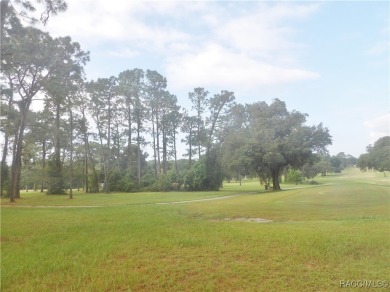 Come build your dream home on this beautiful golf course lot in on Citrus Springs Country Club in Florida - for sale on GolfHomes.com, golf home, golf lot