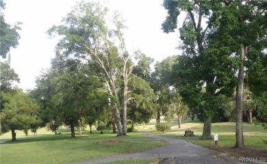 Come build your dream home on this beautiful golf course lot in on Citrus Springs Country Club in Florida - for sale on GolfHomes.com, golf home, golf lot