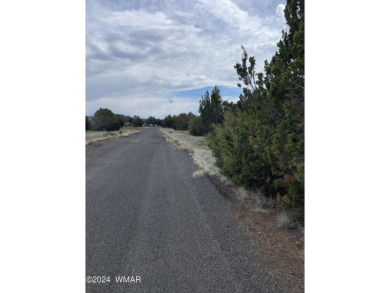 0.46 Acre lot located on Wood Lane in Concho Valley. Nice on Concho Valley Country Club in Arizona - for sale on GolfHomes.com, golf home, golf lot