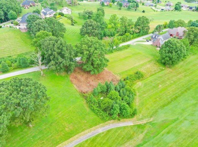 Discover the perfect opportunity to build your dream home on on Crooked Creek Golf Club in Kentucky - for sale on GolfHomes.com, golf home, golf lot