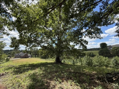 Discover the perfect opportunity to build your dream home on on Crooked Creek Golf Club in Kentucky - for sale on GolfHomes.com, golf home, golf lot