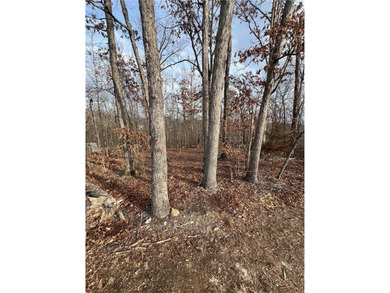 Level lot in the heart of Bella Vista, perfect for building on Bella Vista Country Club - Berksdale in Arkansas - for sale on GolfHomes.com, golf home, golf lot