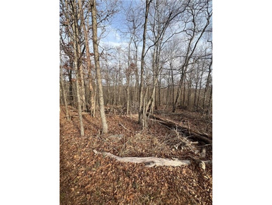 Level lot in the heart of Bella Vista, perfect for building on Bella Vista Country Club - Berksdale in Arkansas - for sale on GolfHomes.com, golf home, golf lot