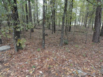 1 vacant double lot for sale, ready for your new home, joining on Indian Hills Country Club in Arkansas - for sale on GolfHomes.com, golf home, golf lot