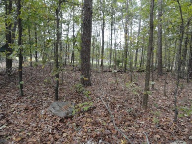 1 vacant double lot for sale, ready for your new home, joining on Indian Hills Country Club in Arkansas - for sale on GolfHomes.com, golf home, golf lot