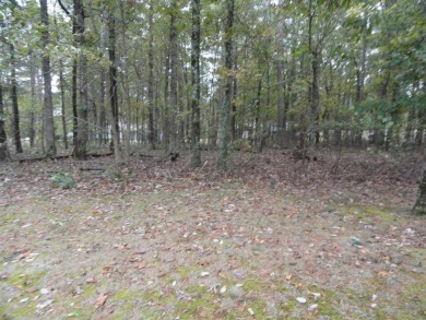 1 vacant double lot for sale, ready for your new home, joining on Indian Hills Country Club in Arkansas - for sale on GolfHomes.com, golf home, golf lot