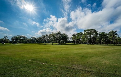 PRICE ADJUSTMENT TO $159,900!! Breathtaking Views, Unmatched on Cove Cay Country Club in Florida - for sale on GolfHomes.com, golf home, golf lot