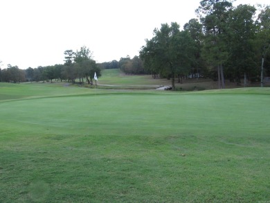 LEVEL ACRE LOT ON 1ST HOLE OF BALBOA GOLF COURSE WITH IT'S OWN on Balboa Golf Course in Arkansas - for sale on GolfHomes.com, golf home, golf lot