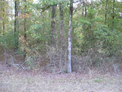 LEVEL ACRE LOT ON 1ST HOLE OF BALBOA GOLF COURSE WITH IT'S OWN on Balboa Golf Course in Arkansas - for sale on GolfHomes.com, golf home, golf lot