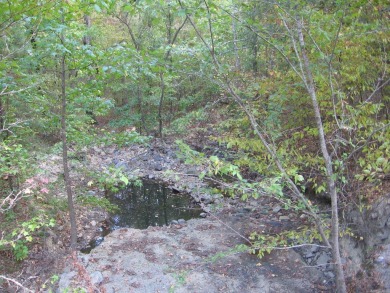 LEVEL ACRE LOT ON 1ST HOLE OF BALBOA GOLF COURSE WITH IT'S OWN on Balboa Golf Course in Arkansas - for sale on GolfHomes.com, golf home, golf lot