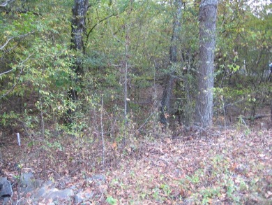 LEVEL ACRE LOT ON 1ST HOLE OF BALBOA GOLF COURSE WITH IT'S OWN on Balboa Golf Course in Arkansas - for sale on GolfHomes.com, golf home, golf lot