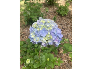 Under contract-accepting backup offers. Welcome to this on West End Golf Course in Florida - for sale on GolfHomes.com, golf home, golf lot