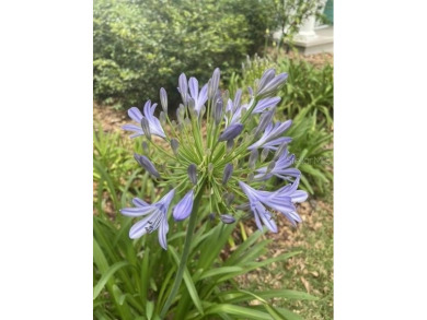 Under contract-accepting backup offers. Welcome to this on West End Golf Course in Florida - for sale on GolfHomes.com, golf home, golf lot