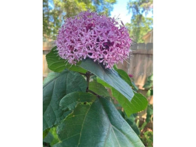 Under contract-accepting backup offers. Welcome to this on West End Golf Course in Florida - for sale on GolfHomes.com, golf home, golf lot