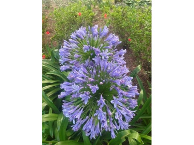 Under contract-accepting backup offers. Welcome to this on West End Golf Course in Florida - for sale on GolfHomes.com, golf home, golf lot