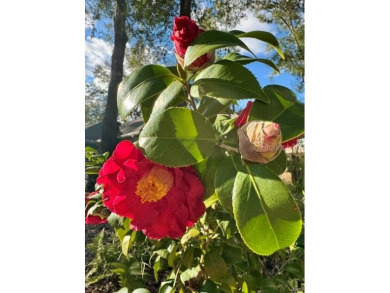 Under contract-accepting backup offers. Welcome to this on West End Golf Course in Florida - for sale on GolfHomes.com, golf home, golf lot