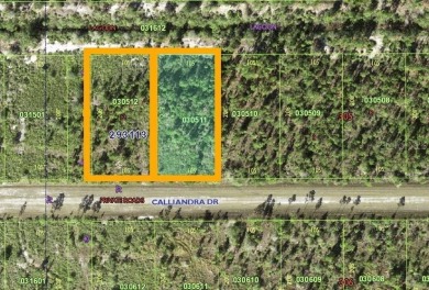 Come build your forever home on this beautiful property. Two on Indian Lake Estates Golf and Country Club in Florida - for sale on GolfHomes.com, golf home, golf lot
