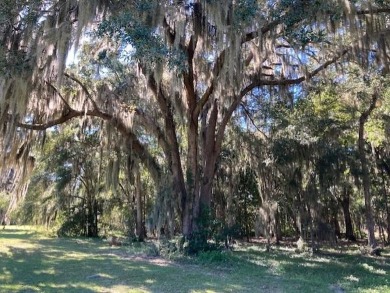 This lot sits on the quiet and beautiful Oak Forest Drive in the on Sapelo Hammock Golf Club in Georgia - for sale on GolfHomes.com, golf home, golf lot