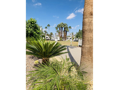 Lot 973 is now available on our golf course. This premium spot on Outdoor Resorts/Palm Springs in California - for sale on GolfHomes.com, golf home, golf lot