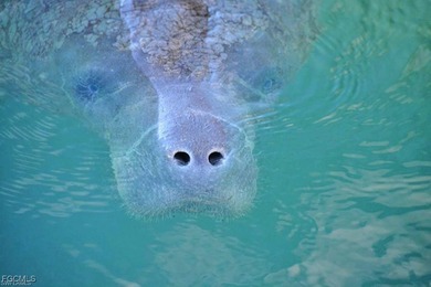 Bring your toothbrush and move right in. This beautiful upstairs on Verandah Golf Course and Club in Florida - for sale on GolfHomes.com, golf home, golf lot