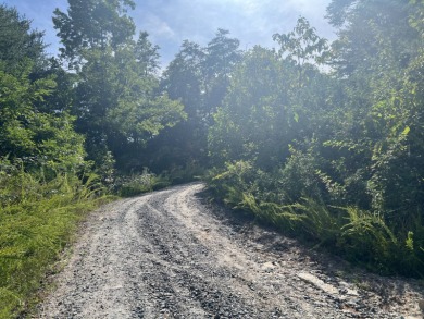 Views of surrounding mountains. Are you looking for the perfect on Rumbling Bald Resort on Lake Lure in North Carolina - for sale on GolfHomes.com, golf home, golf lot