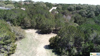 Discover the perfect canvas for your dream home or serene on Highland Lakes Golf Course in Texas - for sale on GolfHomes.com, golf home, golf lot