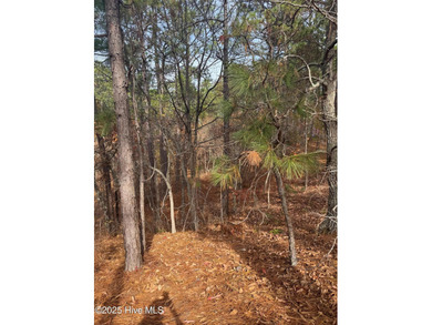 Buildable lot in gated Seven Lakes West with 4-bedroom septic on Beacon Ridge Golf and Country Club in North Carolina - for sale on GolfHomes.com, golf home, golf lot