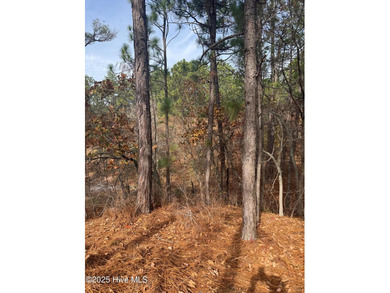 Buildable lot in gated Seven Lakes West with 4-bedroom septic on Beacon Ridge Golf and Country Club in North Carolina - for sale on GolfHomes.com, golf home, golf lot