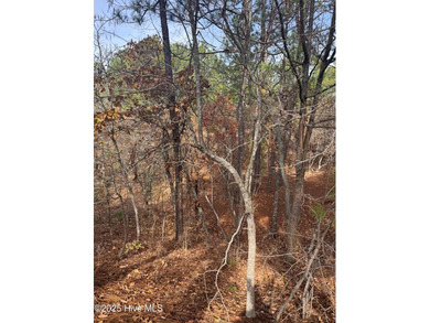 Buildable lot in gated Seven Lakes West with 4-bedroom septic on Beacon Ridge Golf and Country Club in North Carolina - for sale on GolfHomes.com, golf home, golf lot