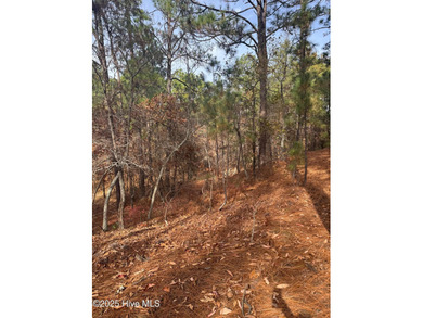 Buildable lot in gated Seven Lakes West with 4-bedroom septic on Beacon Ridge Golf and Country Club in North Carolina - for sale on GolfHomes.com, golf home, golf lot