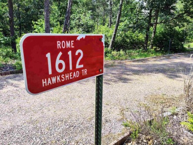 Turnkey getaway in the Town of Rome! This .52-acre lot offers on Sand Valley Golf Course in Wisconsin - for sale on GolfHomes.com, golf home, golf lot